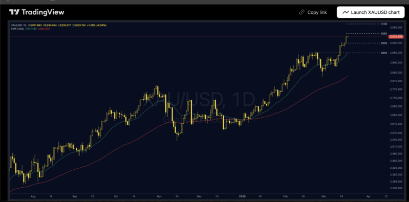 Screenshot 2025-03-19 at 7.47.45 AM.png